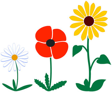 Daisies, Poppies & Sunflowers Daisies, Poppies & Sunflowers